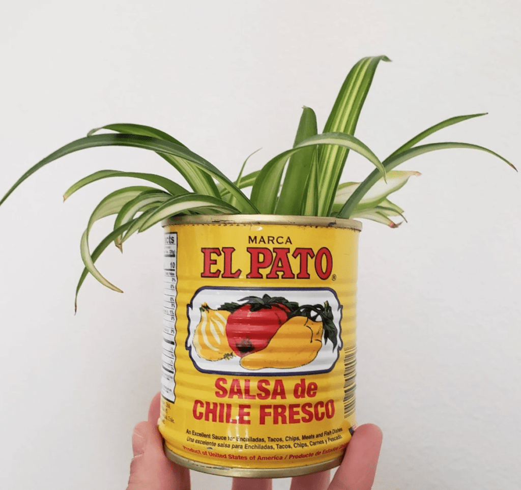 tin can planter